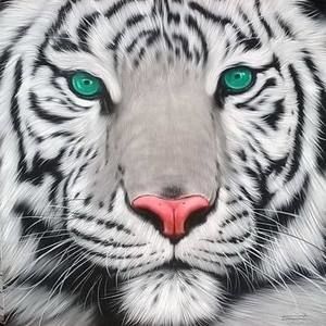 Meet your Posher, Johnny